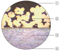 Rondella di spinta Poriferous d'acciaio delle boccole POM delle piastrine di appoggio dello scorrevole di Oilless